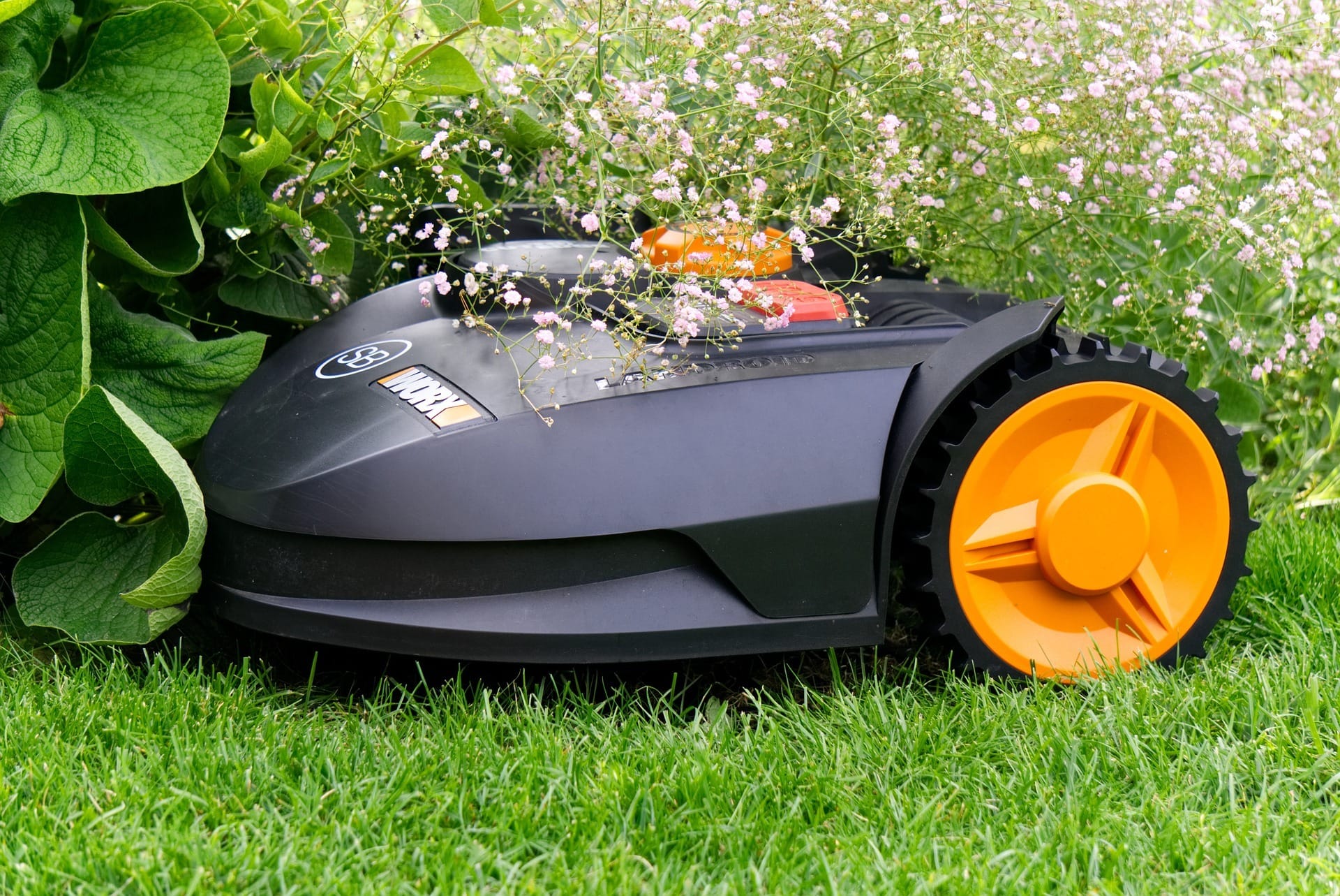 Le robots tondeuses utilisent la technique de tonte appelée mulching. L'herbe n'est pas collectée. Elle est coupée et finement broyée puis redéposée sur le sol. (c) Pixabay &distelAPPArath