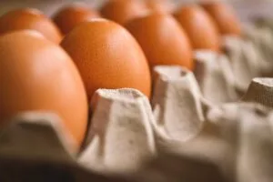 Comment conserver les oeufs : à température ambiante ou au réfrigérateur ? @akirEVarga