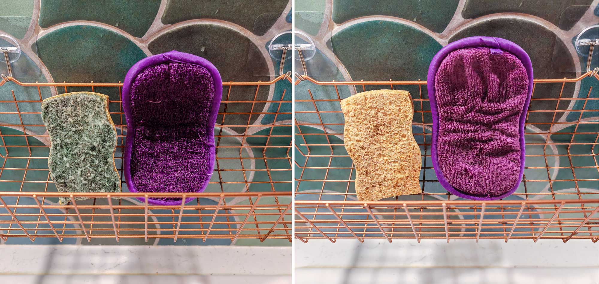 Comparaison du vieillissement des éponges en tissu et des éponges jetables après 4 mois d'utilisation. (c) Labo Maison