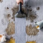 La brosse de 15 cm, avec ses poils robustes, permet un nettoyage efficace des grandes surfaces en éliminant les salissures incrustées.