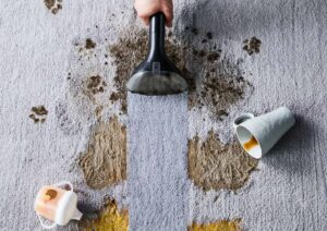La brosse de 15 cm, avec ses poils robustes, permet un nettoyage efficace des grandes surfaces en éliminant les salissures incrustées.