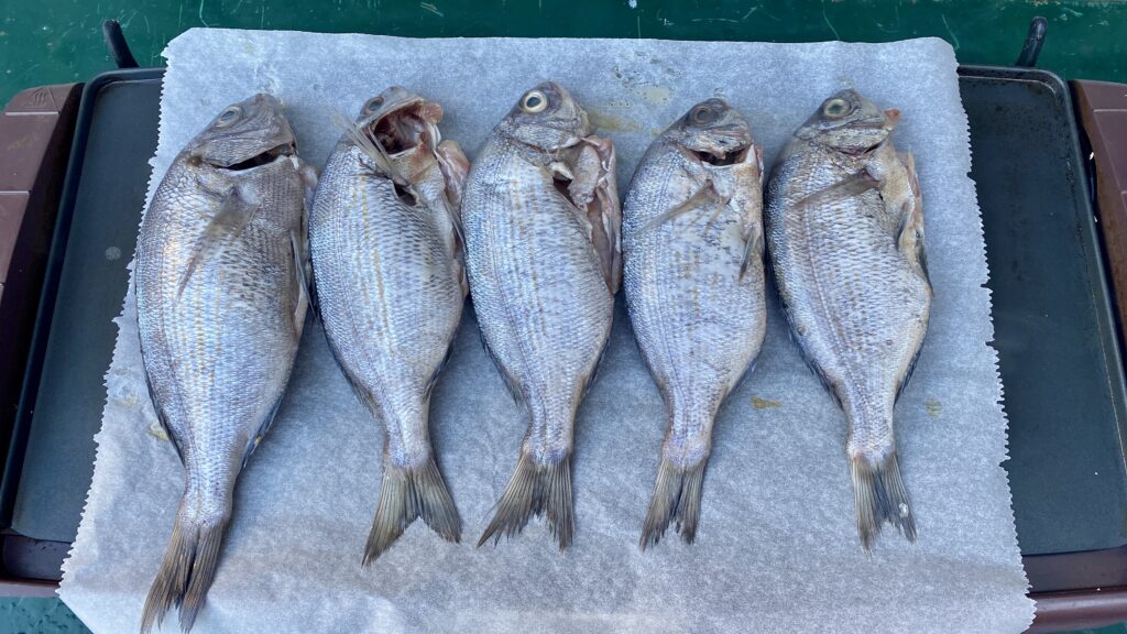 Poissons à la plancha (c) Labo Maison