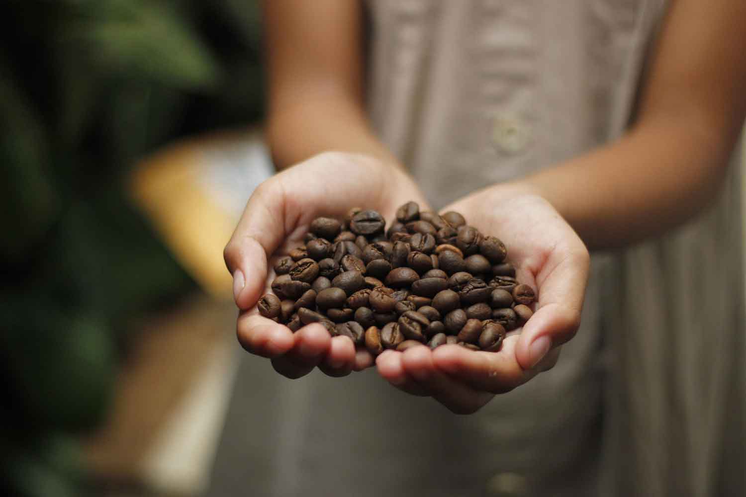 Café robusta : goût intense, crema généreuse et caféine élevée pour un espresso corsé. (c) gedsarts / Pixabay